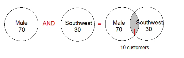Precision Developer 1.0 Developer's Guide