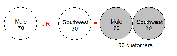 Precision Developer 1.0 Developer's Guide